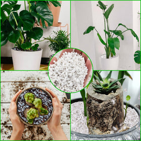 Legigo perlite can be decorative or used in DIY micro-landscapes and crafts.