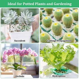 Legigo decorative perlite for DIY micro landscapes and crafts