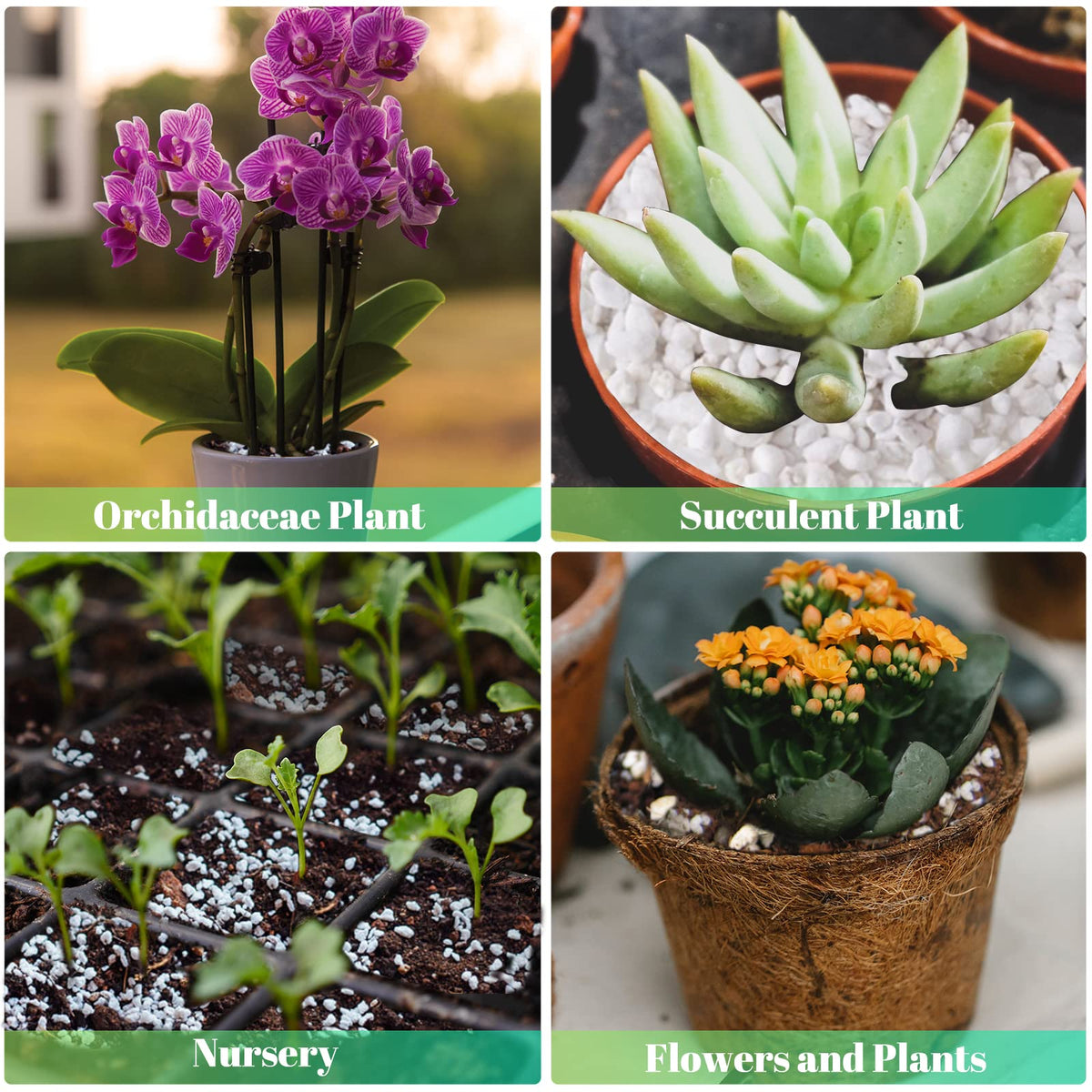Legigo perlite can be used as decorative stones for micro landscapes