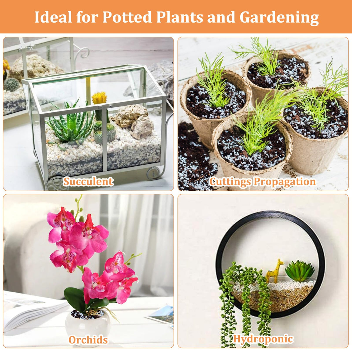 Legigo perlite decorative stones plus plant health benefits.