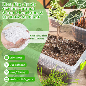 Legigo perlite improves soil aeration to support healthy root growth.