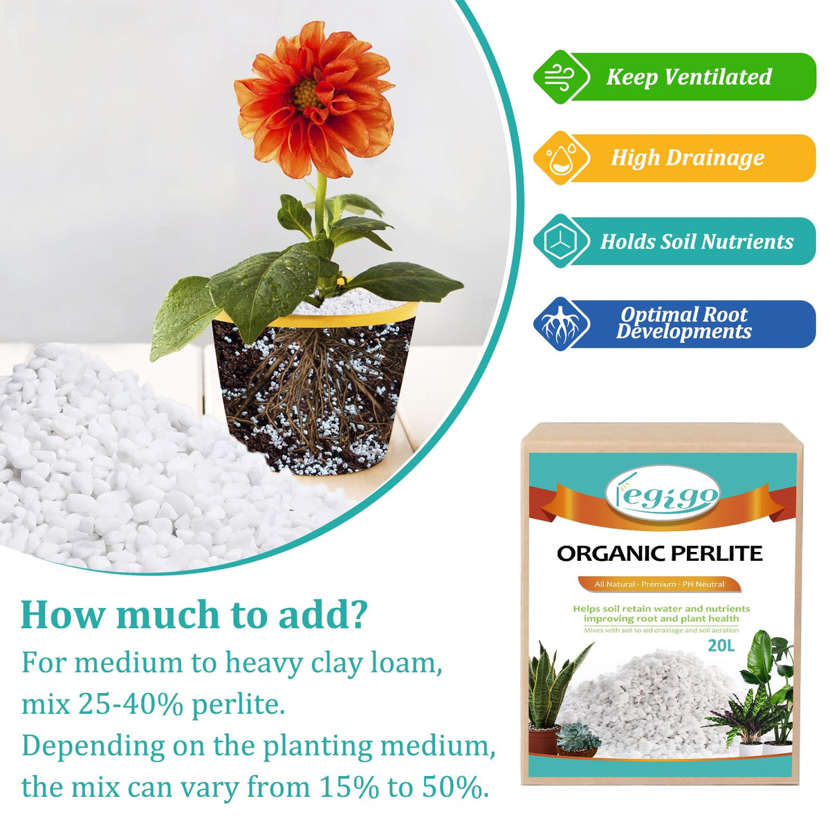 Legigo horticultural perlite doubles as decorative stones for micro landscapes and crafts.