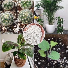 Legigo perlite for hydroponics, supports drainage and aeration in soil-less systems.
