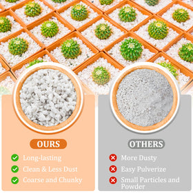 Legigo 15 quarts perlite ideal for indoor plants and cactus mixes.