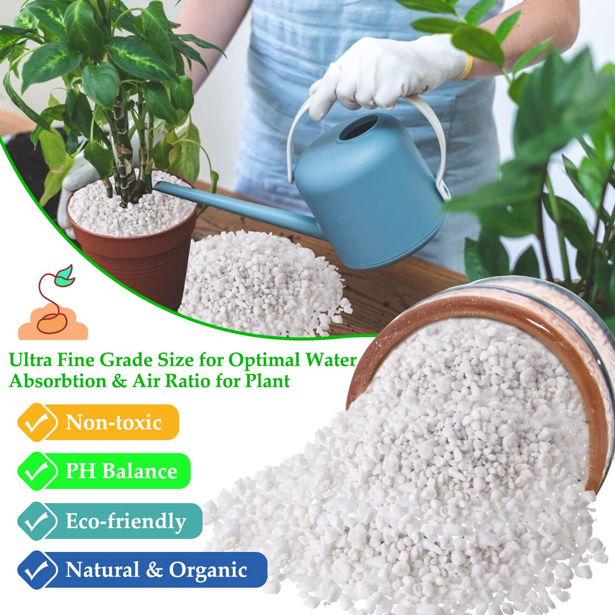 Legigo perlite promotes root growth by boosting aeration and space.