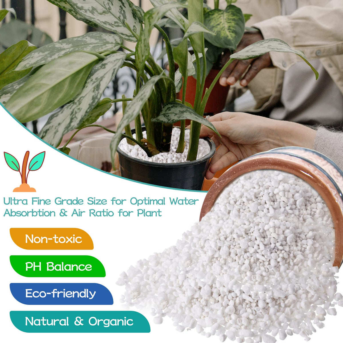 Legigo perlite supports root growth by reducing soil compaction