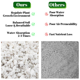 Legigo perlite supports root growth in lightweight soil mixes for indoor plants
