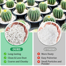 Legigo perlite enhances soil aeration and drainage for indoor plants