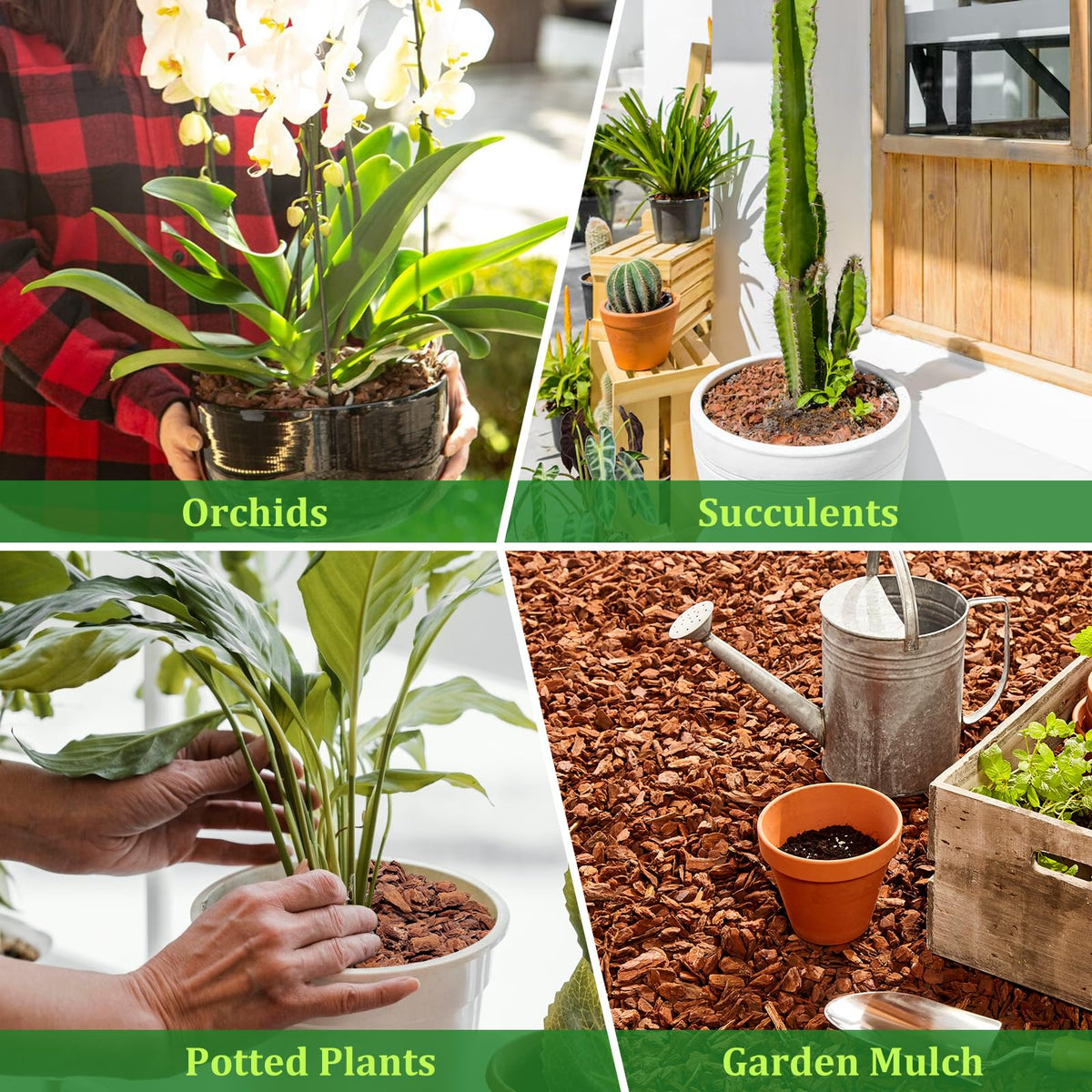 Legigo pine bark mulch for indoor plants acts as decorative and practical ground cover.