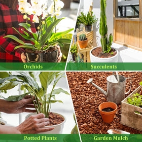Legigo pine bark mulch for indoor plants acts as decorative and practical ground cover.