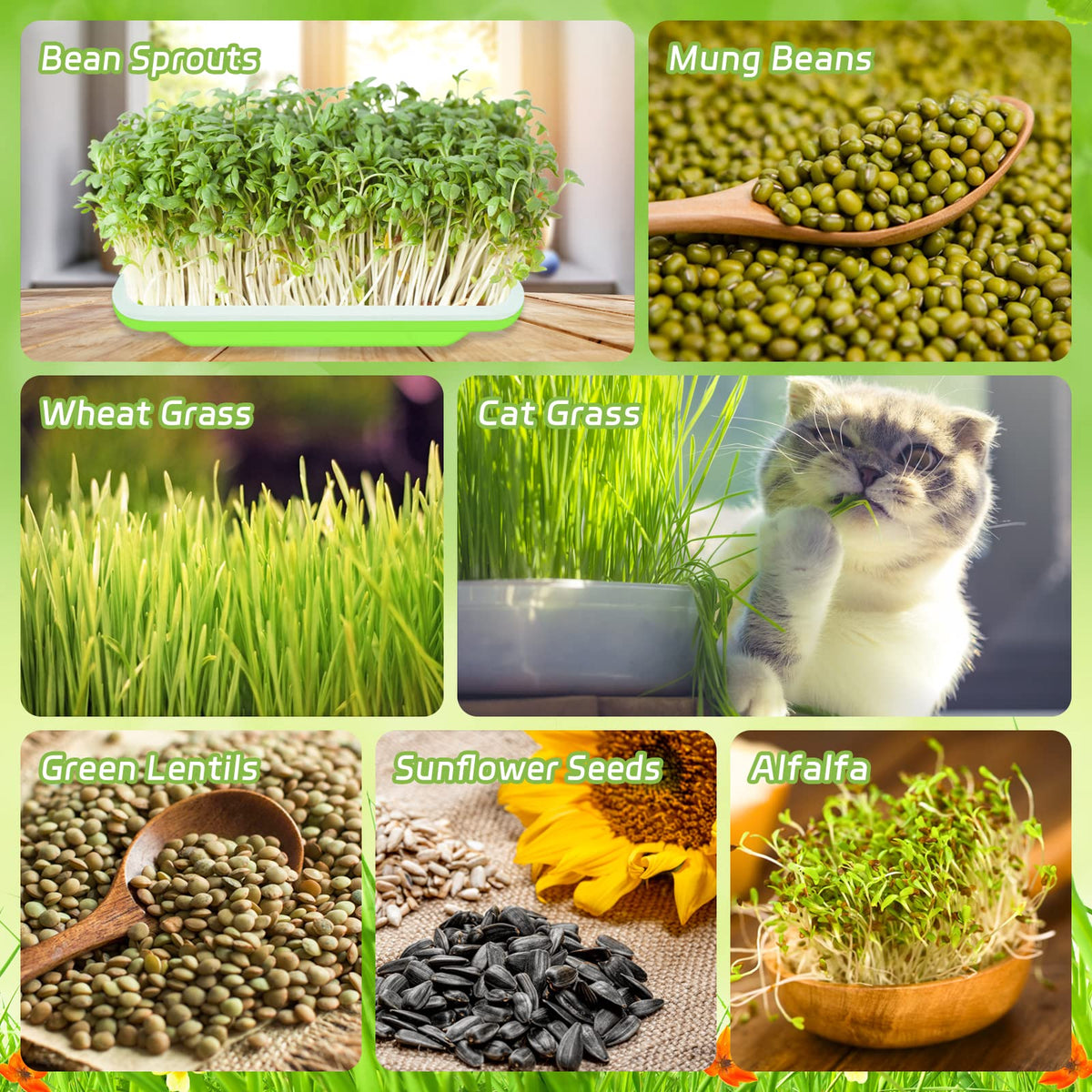 Legigo planting paper pack included for organized seed placement.