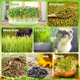 Legigo planting paper pack included for organized seed placement.