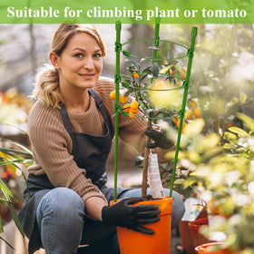 Legigo cages support peppers, cucumbers, and flowering climbers in pots.