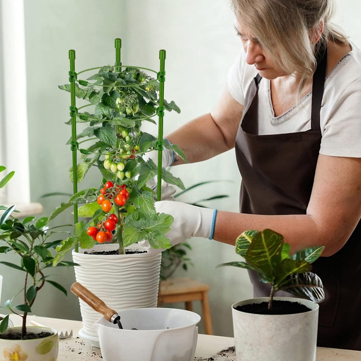 Legigo reusable stakes are ideal for pots, flowers, and climbing plants.