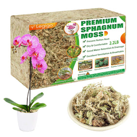 Legigo premium sphagnum moss bag for efficient water retention