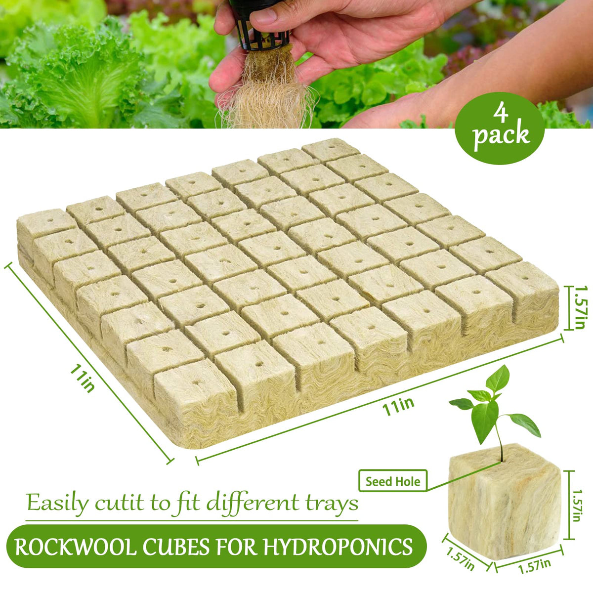 Close-up of Legigo rockwool cubes showing fiber matrix supporting roots