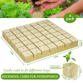 Close-up of Legigo rockwool cubes showing fiber matrix supporting roots