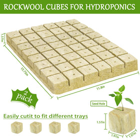 Legigo rockwool cubes in a hydroponics setup promote uniform root growth.