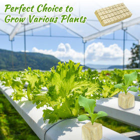 Legigo rockwool cubes ideal for seed germination indoors