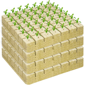 Legigo rockwool cubes four-sheet packaging with 196 plugs