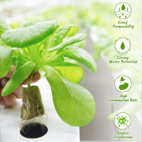 Legigo rockwool cubes encourage rapid rooting and dense growth