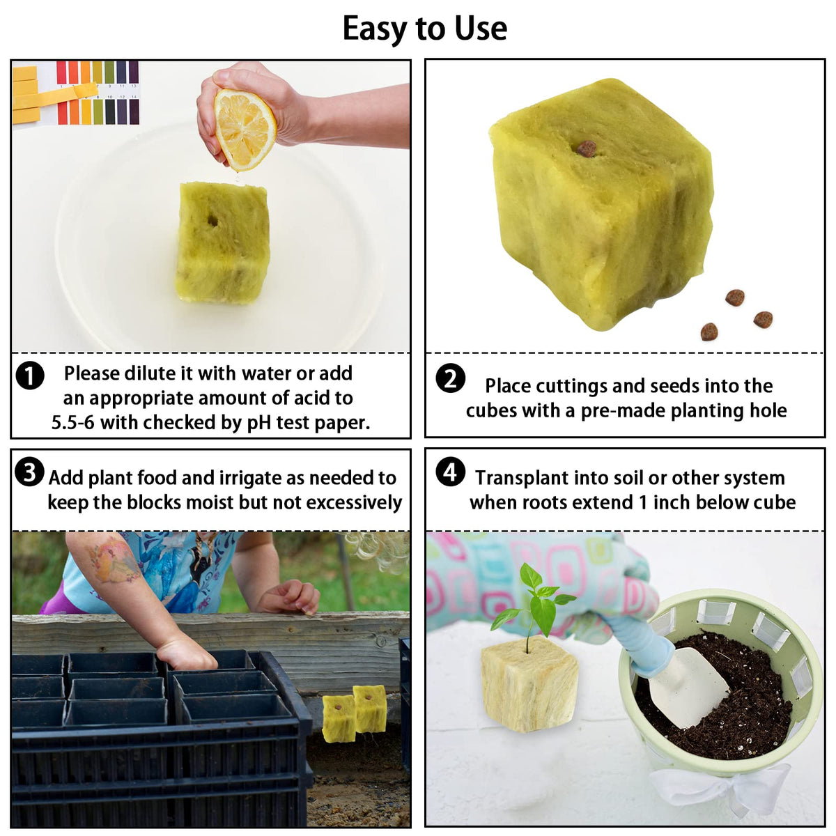 Legigo rockwool cubes root growth during early growth stage