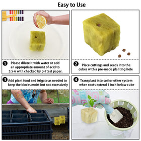 Legigo rockwool cubes root growth during early growth stage