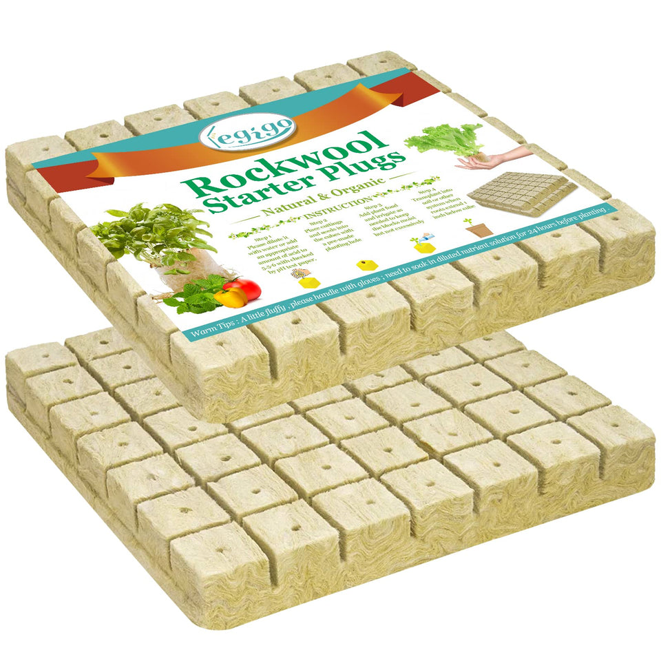 Legigo rockwool cubes seed setup promotes uniform germination in hydroponics