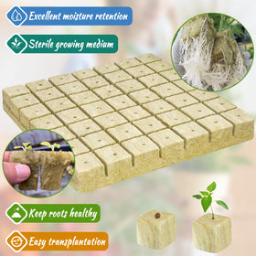 Legigo rockwool cubes soaking in nutrient solution supports healthy moisture