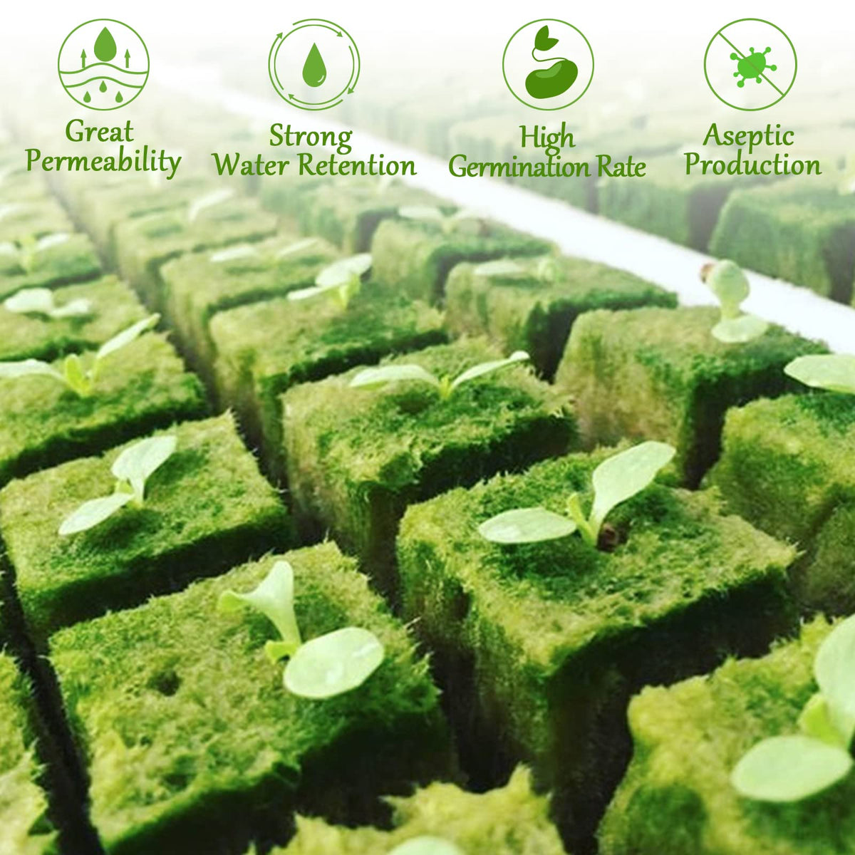 Legigo rockwool cubes rapidly absorb water while sustaining airflow to roots.