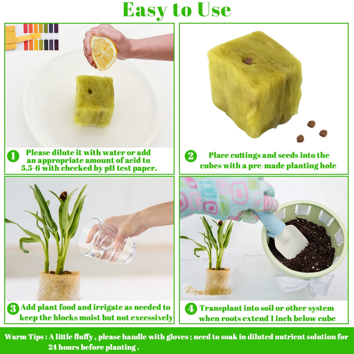 Legigo rockwool root development in a moisture-rich plug environment.