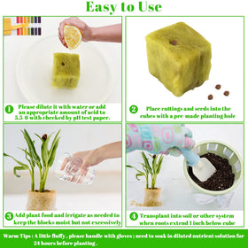 Legigo rockwool root development in a moisture-rich plug environment.