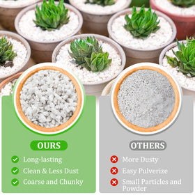 Legigo root-growth-friendly perlite for indoor plants and succulents.