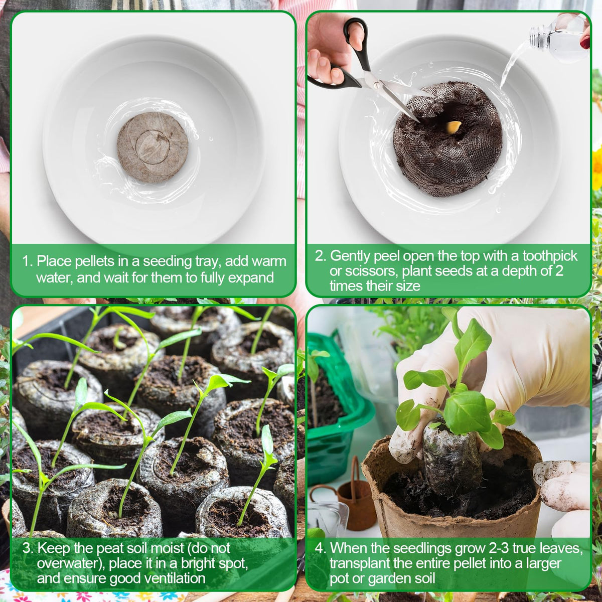 Legigo seed pellets 1-12 inch diameter image emphasizes uniform size for nursery trays
