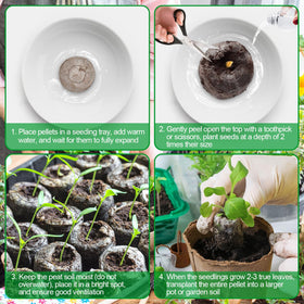 Legigo seed pellets 1-12 inch diameter image emphasizes uniform size for nursery trays