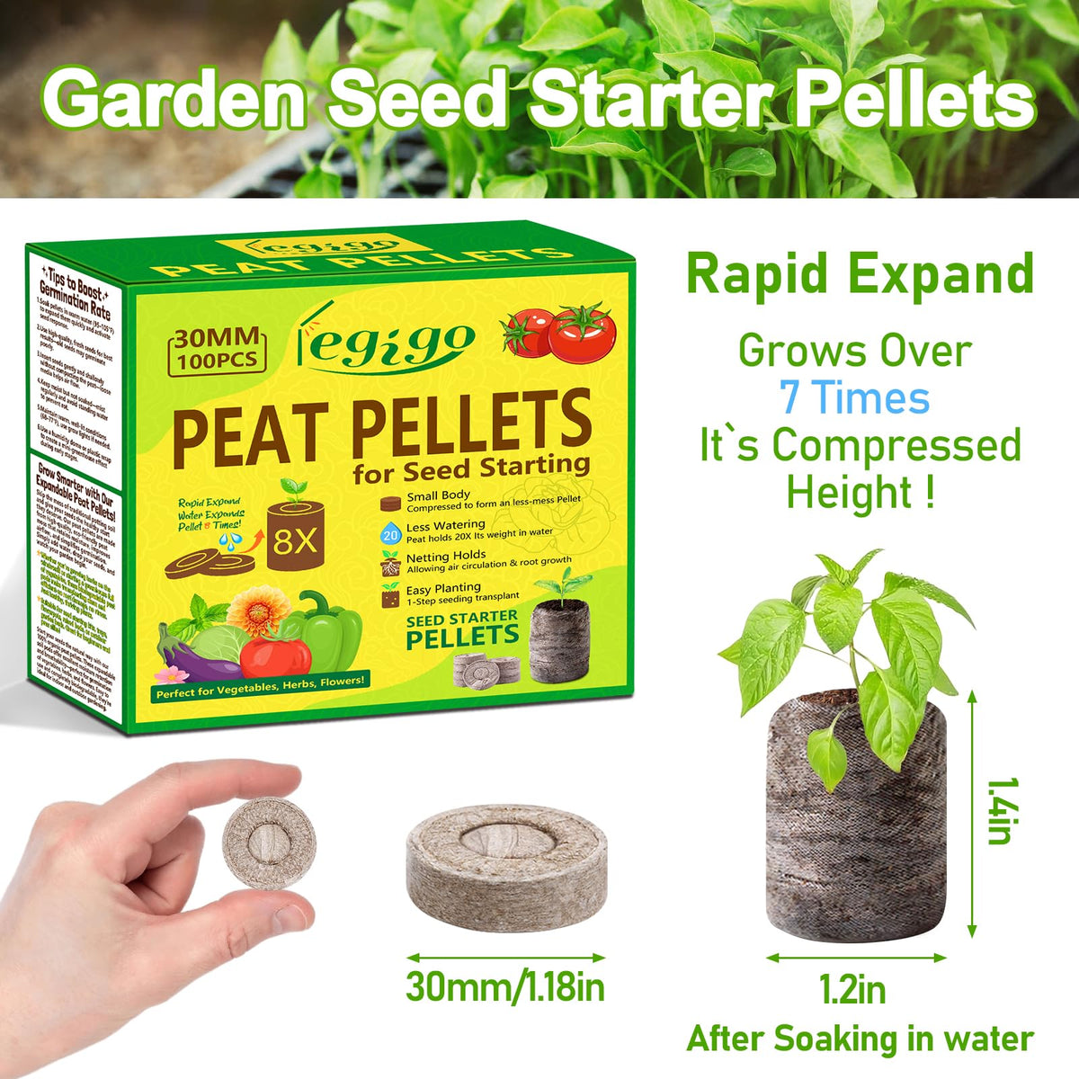 Legigo seed pods expanding with warm water to form ready seedling pots.