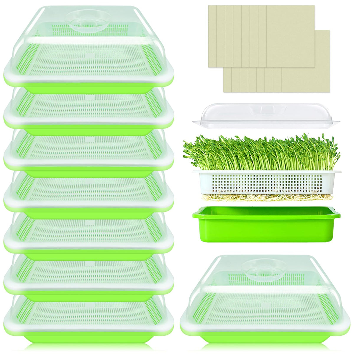 Legigo seed sprouter trays 8-pack with clear lid for soil-free germination at home.
