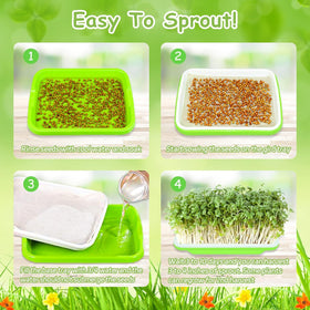 Legigo seed sprouter trays ideal for indoor or outdoor microgreen growing.