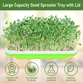 Legigo seed sprouter trays transparent lid for monitoring sprouts.