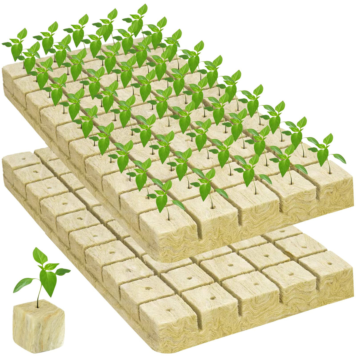 Legigo seed starter cubes used in home gardens and greenhouses.