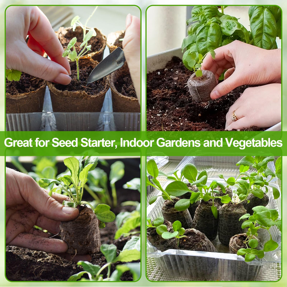 Legigo seed starters suitable for vegetables, herbs, flowers, and microgreens.