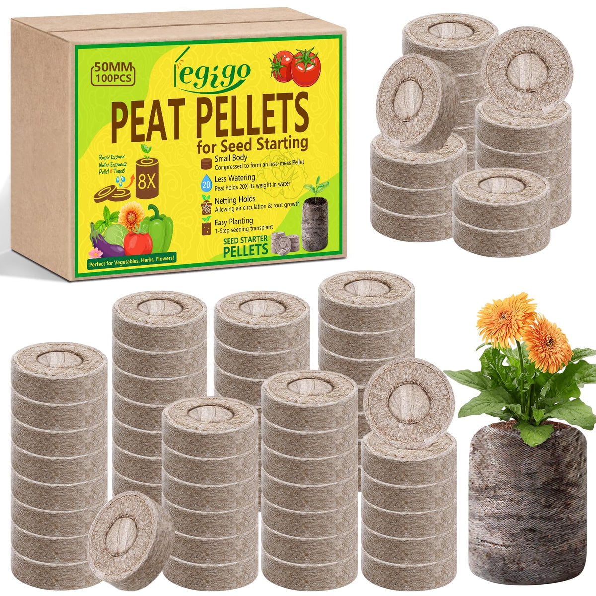 Legigo seed starter peat pellets in 2-inch plugs ready for germination