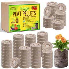 Legigo seed starter peat pellets in 2-inch plugs ready for germination