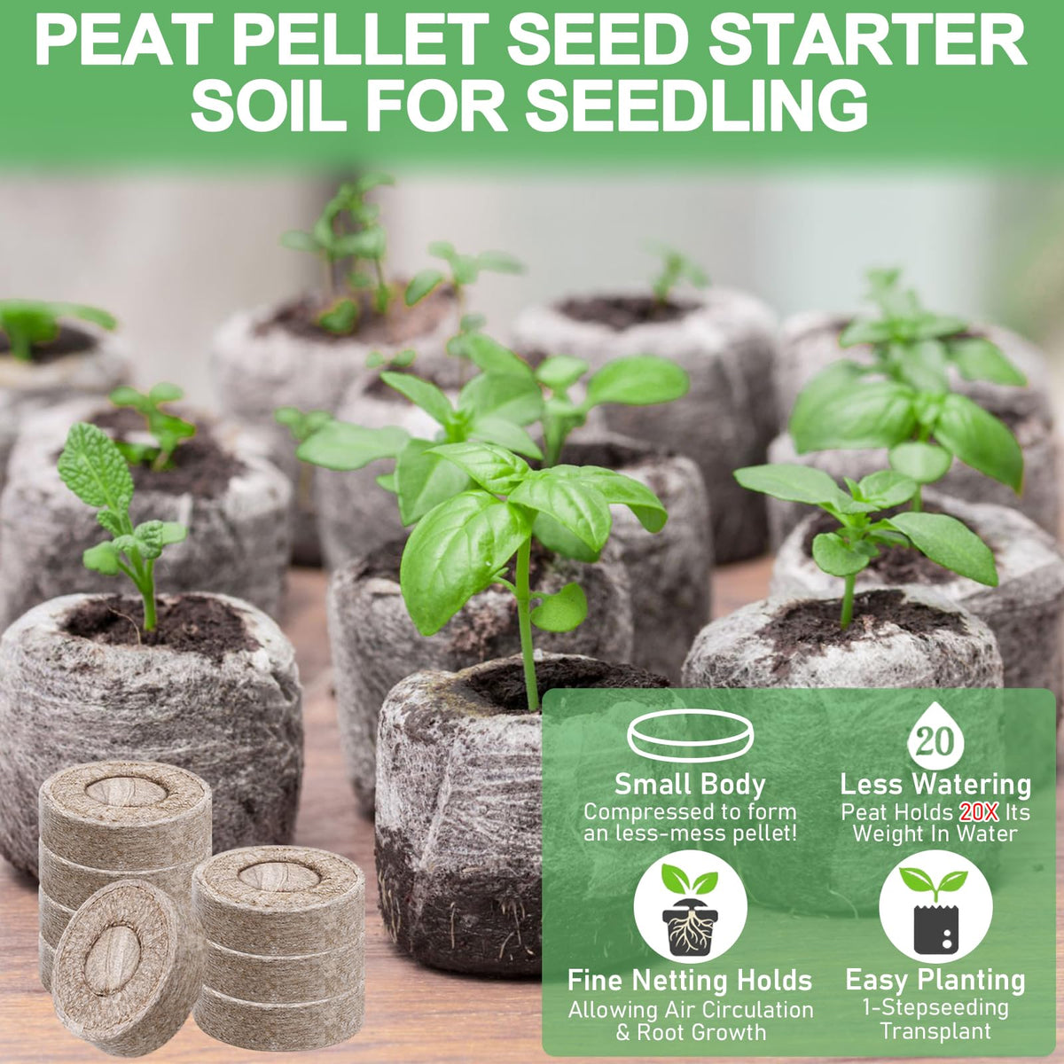 Legigo seed starter plug showing healthy root growth for transplant