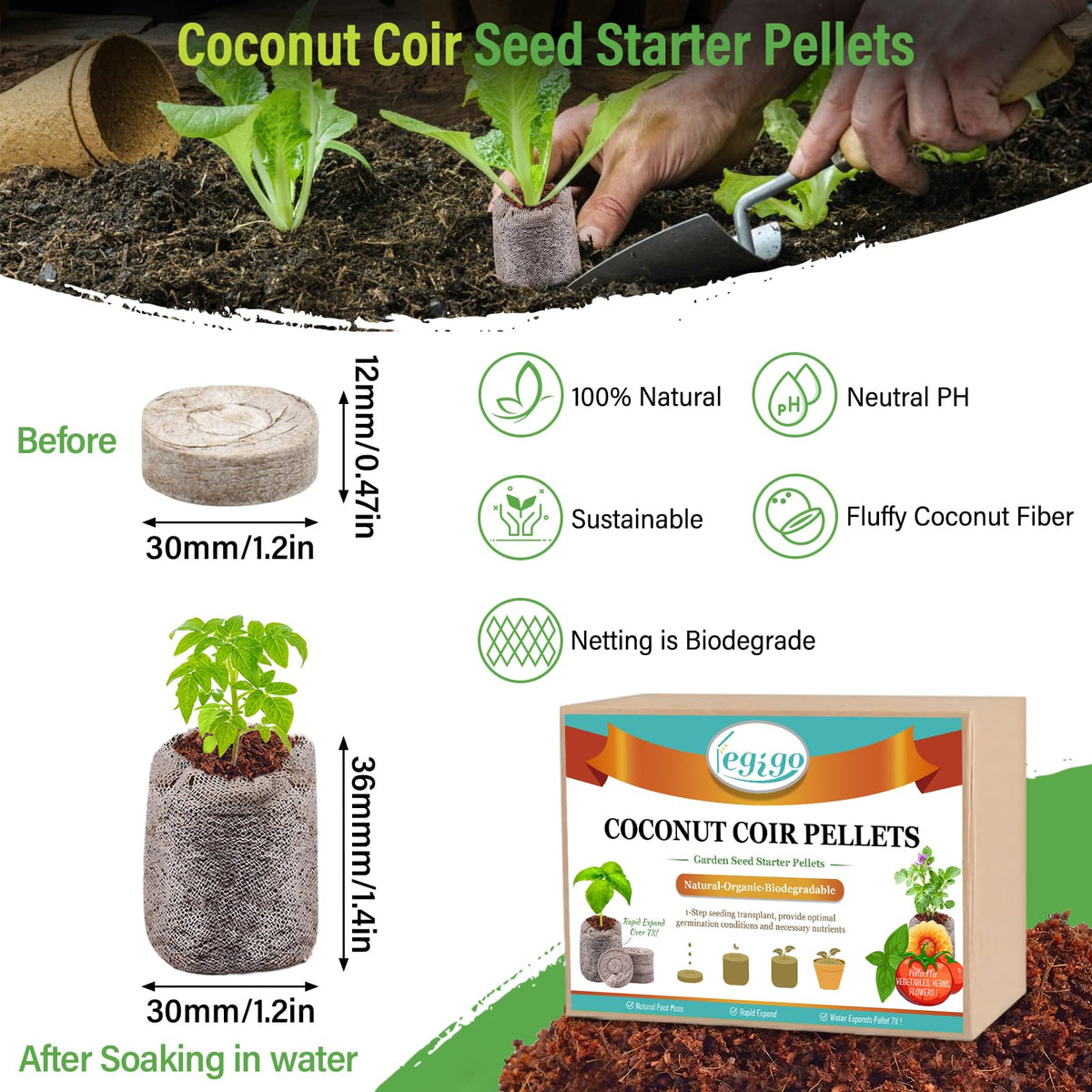 Legigo seedling pods with biodegradable net supporting healthy root growth