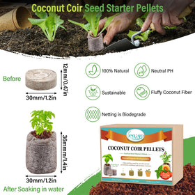 Legigo seedling pods with biodegradable net supporting healthy root growth