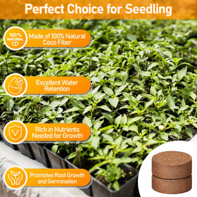 Legigo seedling tray setup with coir medium