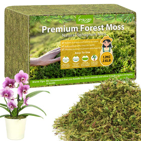 Legigo sphagnum moss brick expands when soaked, ideal for orchid repotting.