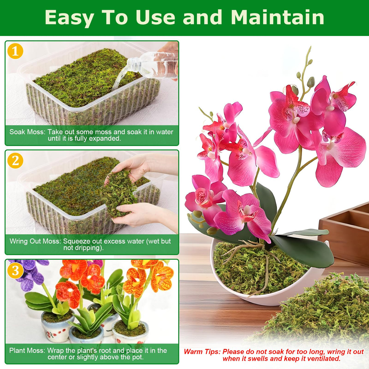 Legigo sphagnum moss for reptiles provides a moist habitat