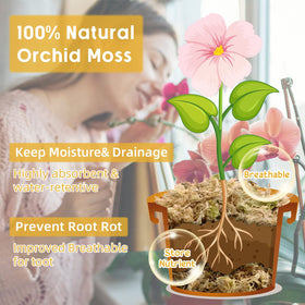 Legigo sphagnum moss soaking demonstrates swelling and moisture retention for healthier roots